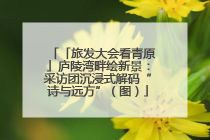 「旅发大会看青原」庐陵湾畔绘新景：采访团沉浸式解码“诗与远方”（图）
